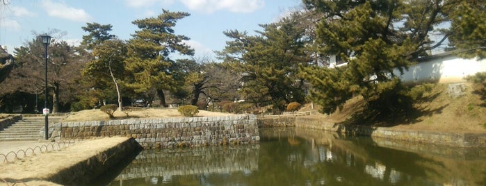 Kijo Park is one of 茨城県 / Ibaraki.