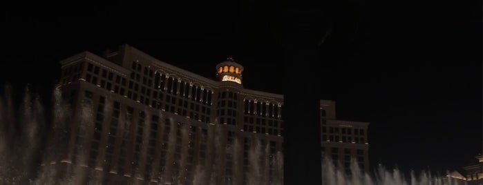 Fountains of Bellagio is one of Lugares favoritos de Michael.