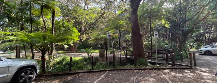 Parsley Bay Reserve is one of Sydney with JetSetCD.