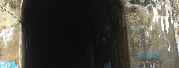 Blue Ridge Tunnel is one of Historic Civil Engineering Landmarks.