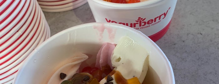 YogurBerry is one of Frozen yoghurt.