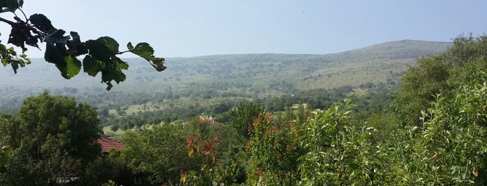 Adalıkuzu Köyü is one of Orte, die Samet gefallen.