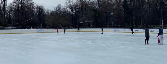 Patinoar is one of permanent/temporary closed venues.