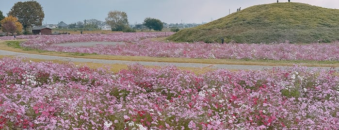 井出二子山古墳 is one of 東日本の古墳 Acient Tombs in Eastern Japan.