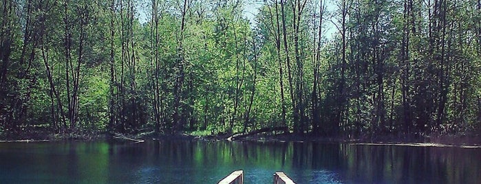 Голубое озеро is one of Lugares favoritos de Поволжский 👑.