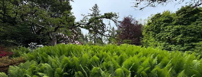 VanDusen Botanical Garden is one of Vancouver, BC.