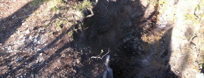 Froschgarterl is one of สถานที่ที่ Alexander ถูกใจ.