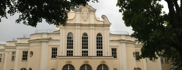 Kauno valstybinis muzikinis teatras is one of Lugares favoritos de Patrick James.