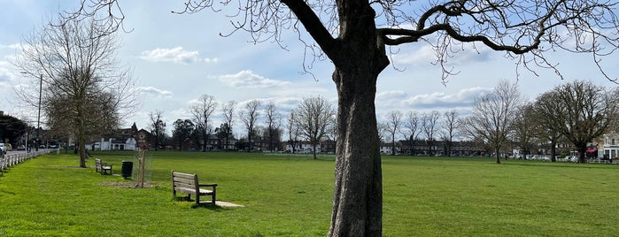 Twickenham Green is one of Green Space, Parks, Squares, Rivers & Lakes (One).