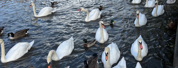 Thames Riverside at Windsor is one of Windsor, UK.