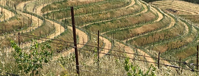 Jericho Canyon Vineyard is one of Napa Winery Bucket List.