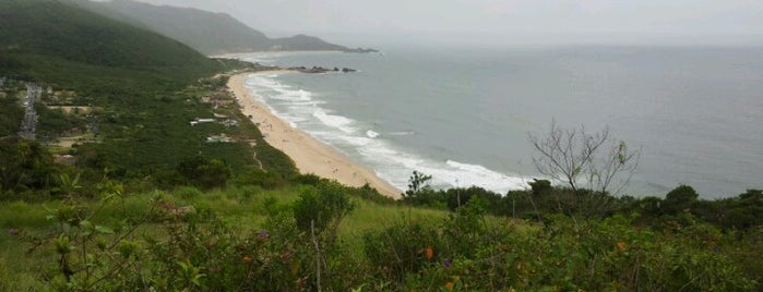 Trilha da Praia do Gravatá is one of Trilhas Florianopolis.