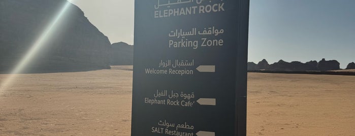 The Elephant Rock is one of العلا.