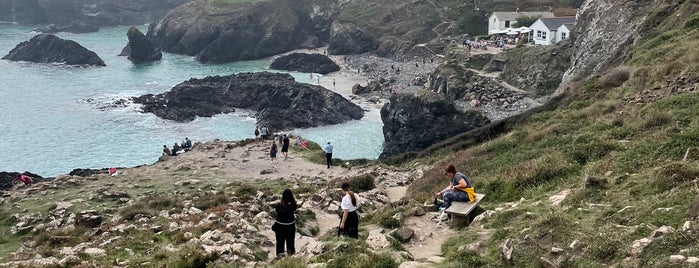 Kynance Cove is one of Cornwall beaches.