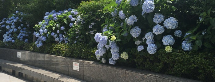 高輪図書館 is one of 近所の図書館.