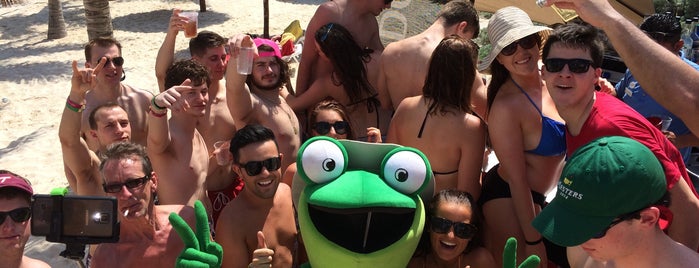 Señor Frog's is one of Férias 2012.