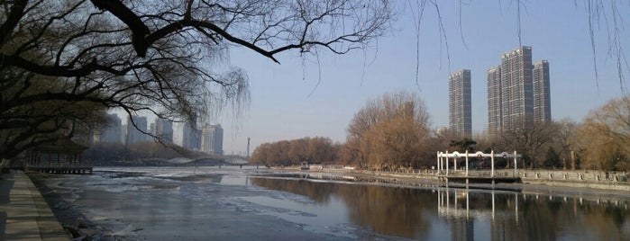 Nanhu Park is one of Shenyang.
