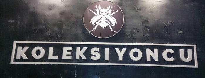 Koleksiyoncu is one of Evden/Odadan Kaçış Oyunları.