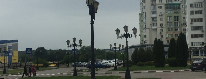 БелГУ (Белгородский государственный университет) is one of WhiteCity.