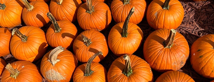 Burt's Pumpkin Farm is one of All-time favorites in United States.