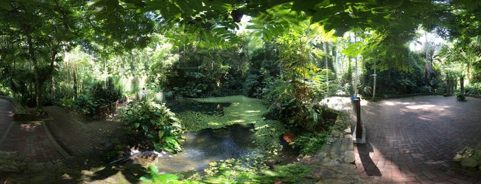 Penang Botanic Gardens 植物園 is one of Penang - Pearl Of The Orient.