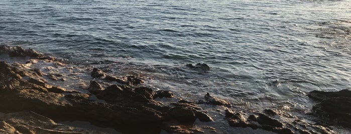 Neos Marmaras Beach is one of Hakidiki.