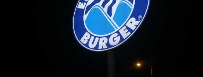 Elevation Burger إلڤيشن برغر is one of Dubai.