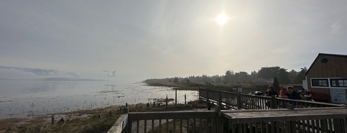 Oysterville Sea Farms is one of Zachary’s Liked Places.