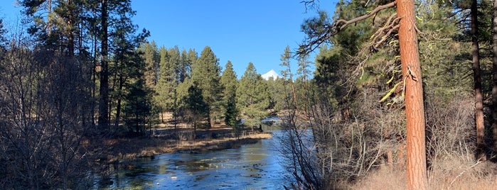 Metolius River is one of Favorite Fly Fishing Rivers - Pacific Northwest.