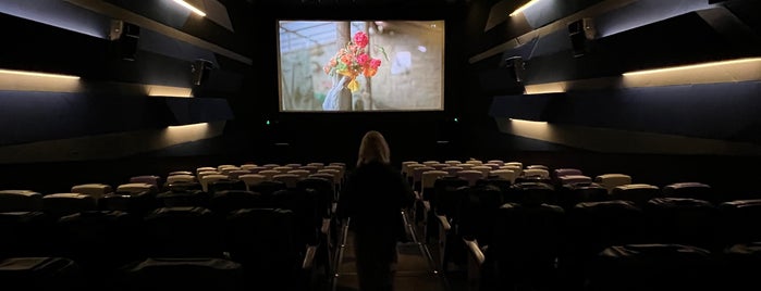 StudioCity Cinema is one of Movie Theaters  (Worldwide).