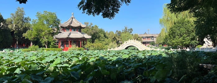 古莲花池 Ancient Lotus Pool is one of Lieux qui ont plu à Sheena.