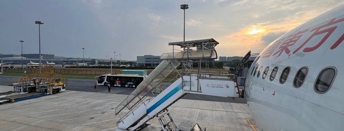 上海虹橋国際空港 (SHA) is one of Aeropuerto i've visited.