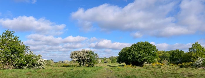 Wanstead Flats is one of London.