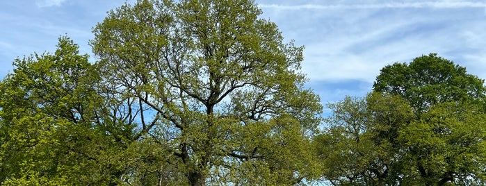 Wanstead Flats is one of London.