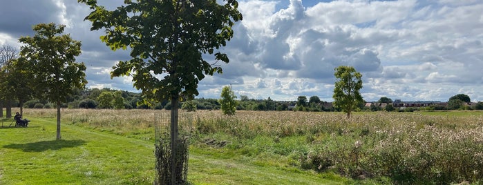 Lordship Recreation Ground is one of South Tottenham.