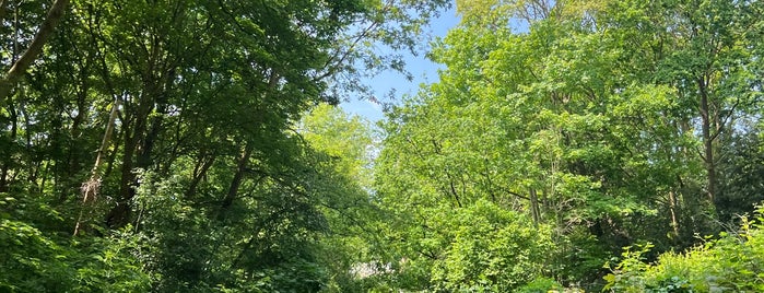 Parkland Walk (Finsbury Park to Crouch End Section) is one of London. Bucket list 2022.