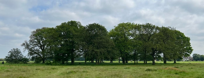 Wanstead Flats is one of London Leisure.