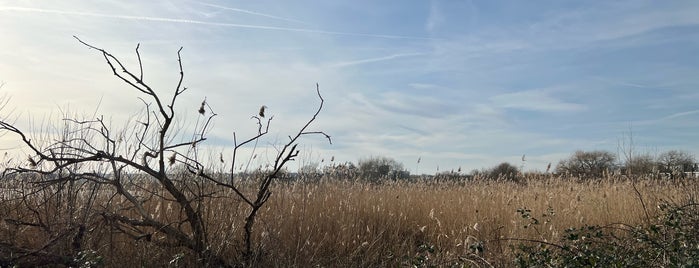 Walthamstow Wetlands is one of Posti che sono piaciuti a András.