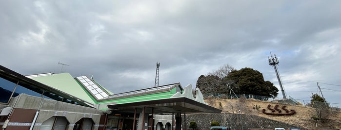 藤野やまなみ温泉 is one of 日帰り温泉と温泉宿.