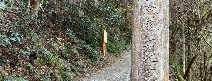 Nature Research Trail 6 is one of 東日本の山-秩父山地.