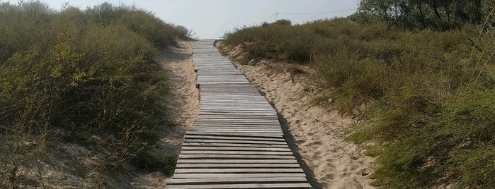 Пляж is one of Побывать в Краснодаре и крае.