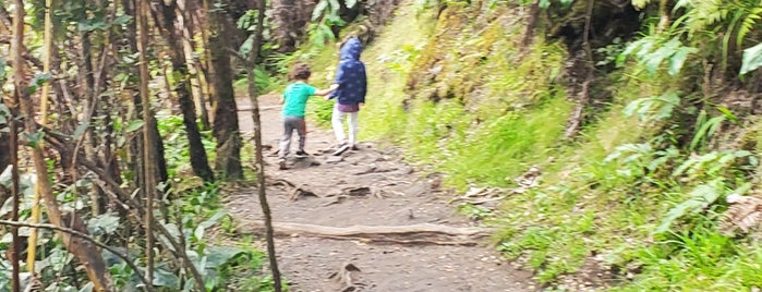 Kīlauea Iki Trail is one of eric'in Beğendiği Mekanlar.