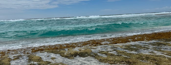 Bachelor's Beach is one of Aruba • one happy island.