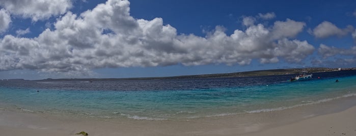 Klein Bonaire is one of Tempat yang Disukai Martina.