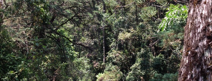 Cachoeira Do Toldi is one of สถานที่ที่ Josias ถูกใจ.