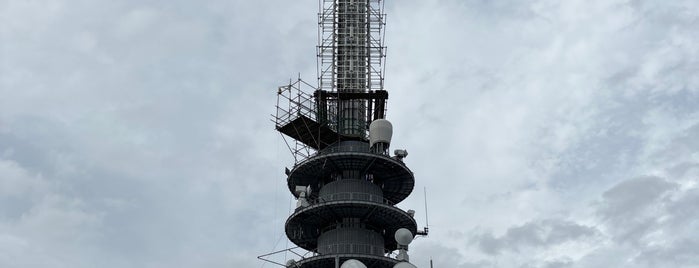 日本平デジタルタワー is one of 建物・施設いろいろ.