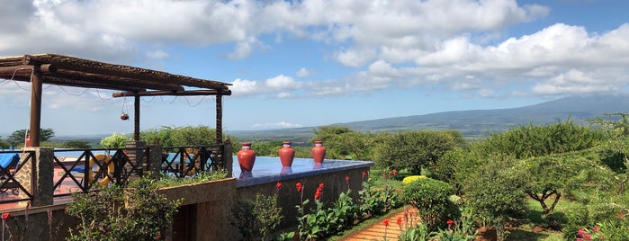 Ngorongoro O'Ldeani Lodge is one of สถานที่ที่ Dade ถูกใจ.