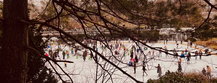 Wollman Rink is one of Pretend I'm a tourist...NYC.