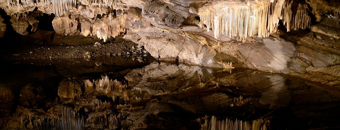 Le Domaine des Grottes de Han / Het Domein van de Grotten van Han is one of Belgium / #4sq365be (2).