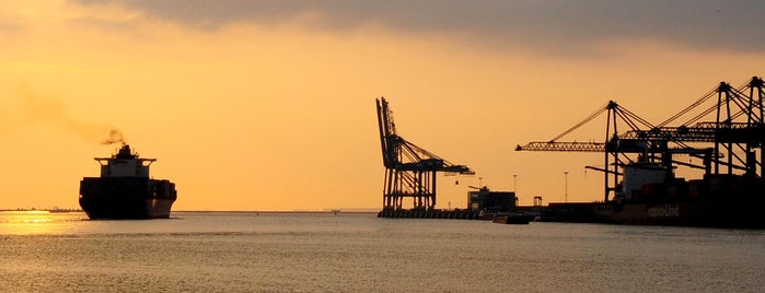 Port of Antwerp is one of Belgium / #4sq365be (2).
